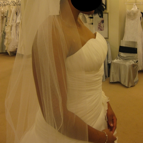 Demetrios Wedding Dress - Picture 6 of 12